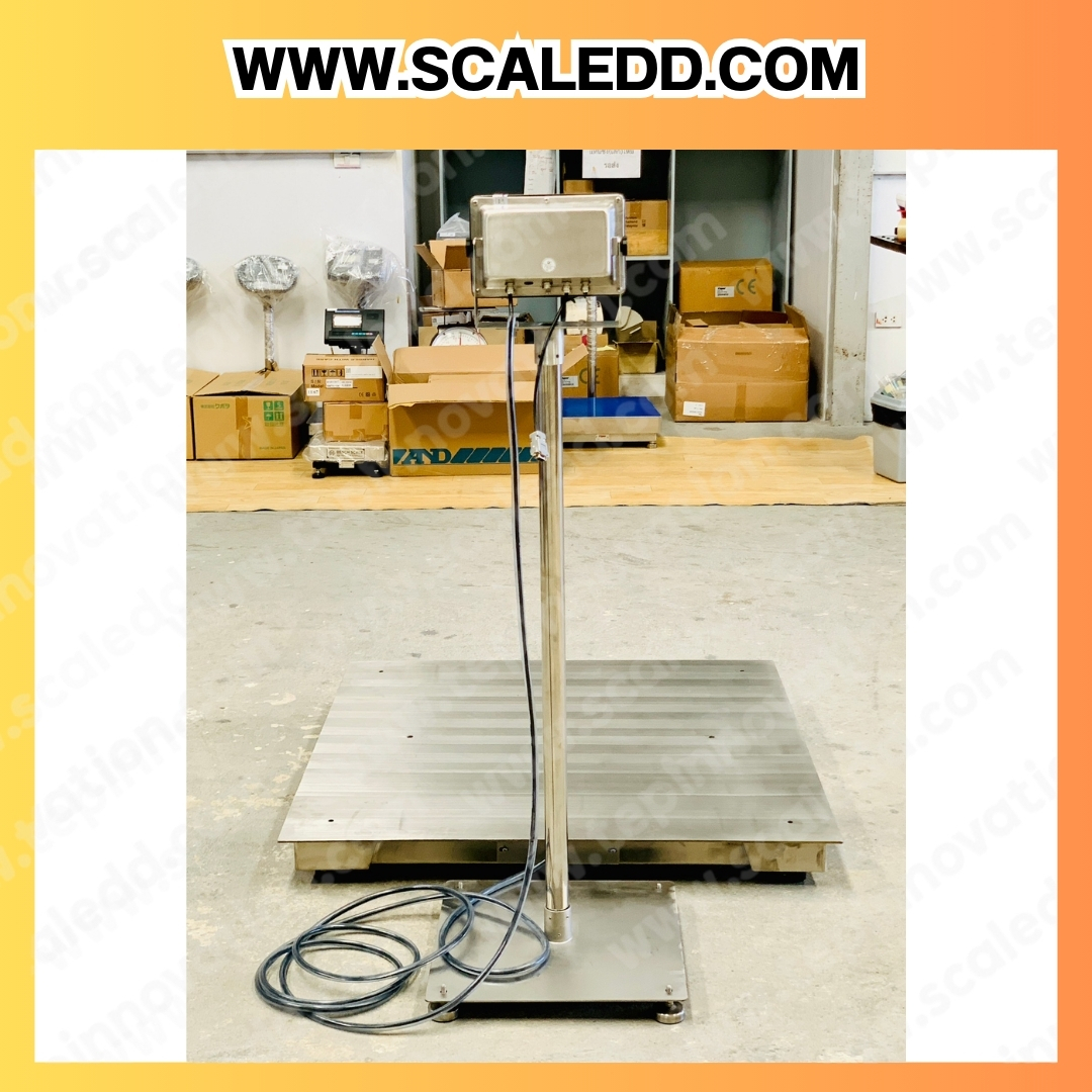 เครื่องชั่งแสตนเลส500กิโลกรัม เครื่องชั่งตั้งพื้นน้ำหนัก500กิโลกรัม ความละเอียด100กรัม ขนาดแท่น 1.2x1.2m. ยี่ห้อ TIGER รุ่น TI-03SS