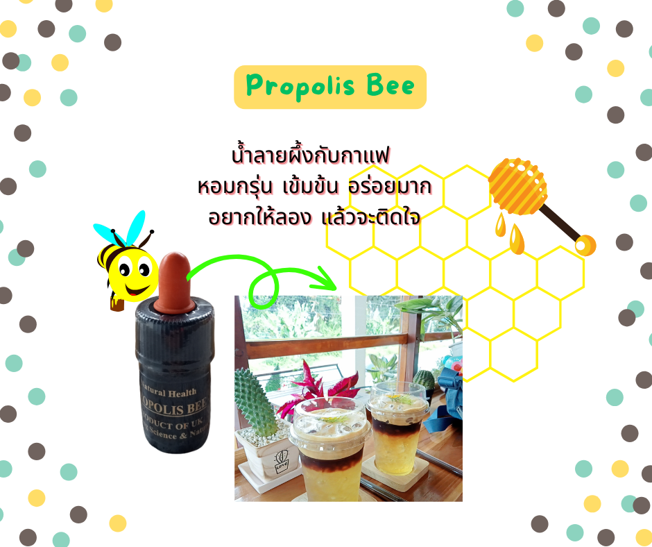 Propolis Bee น้ำลายผึ้ง