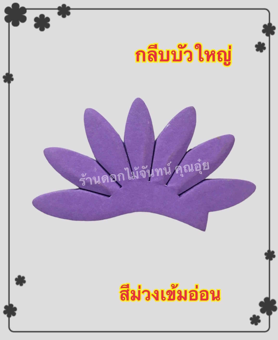 กลีบบัวใหญ่ สีม่วงเข้มอ่อน
