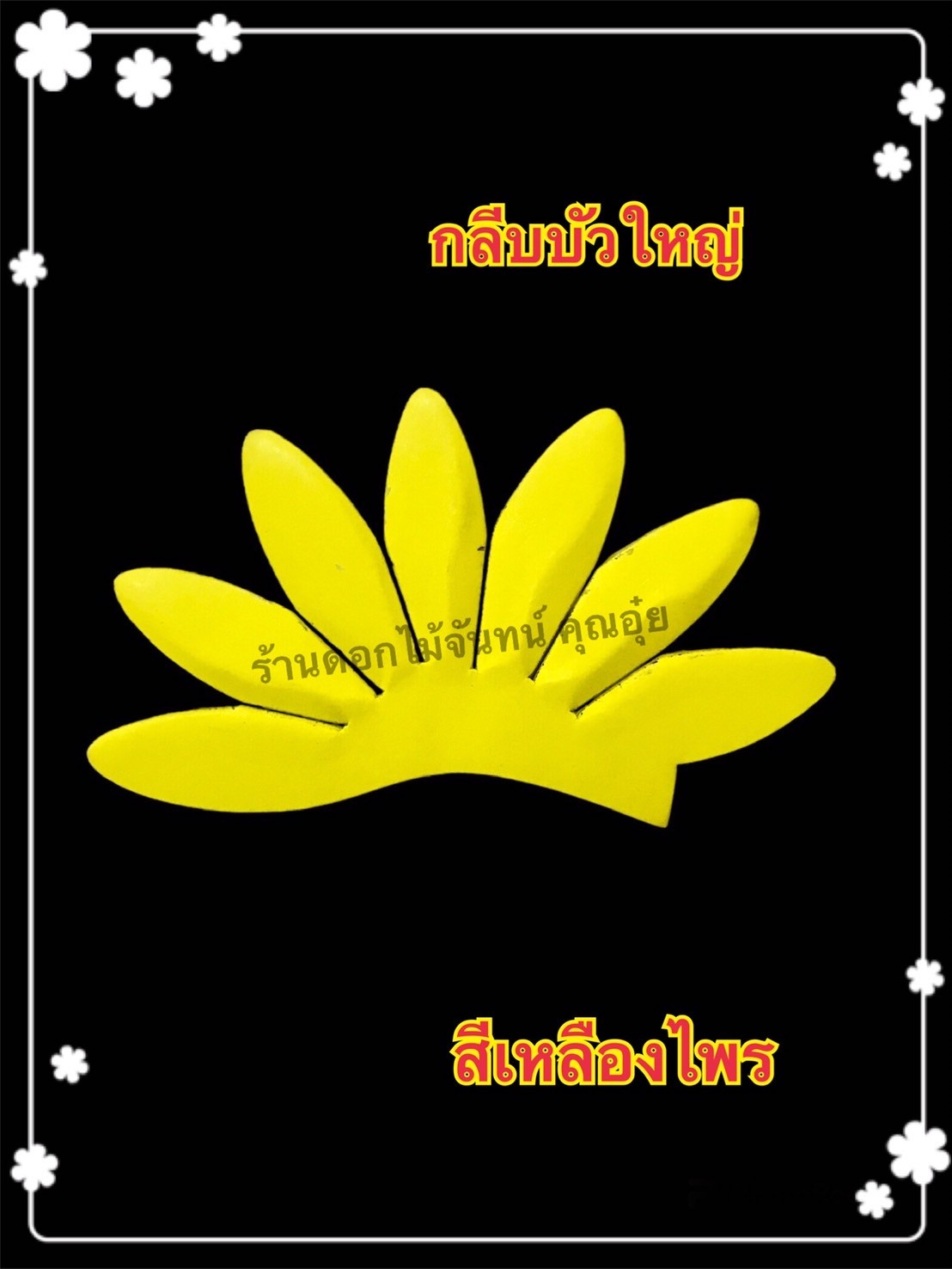 กลีบบัวใหญ่ สีเหลืองไพร