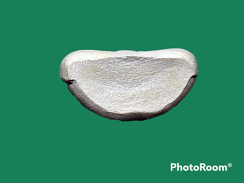 พระปิดตา ลอยองค์ หลวงพ่อโทน วัดเขาน้อยคีรีวัน จ.ชลบุรี ที่ระลึกในการหล่อพระพนัสบดี และ ท้าวเวสสุวรรณ ปี 2550 เนื้อผงสีขาว