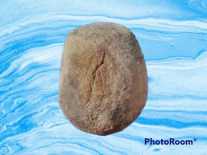 พระเม็ดบัว เจ้าคุณโพธิ์ วัดชัยพฤกษ์มาลา กรุงเทพมหานคร