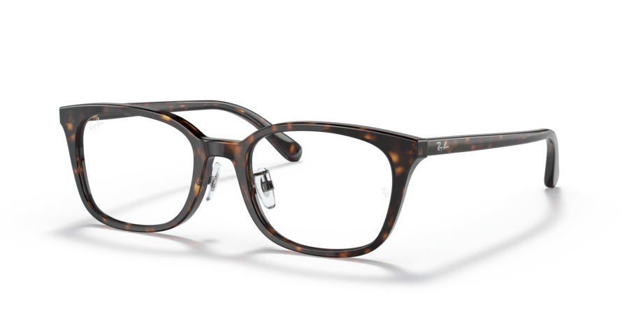 RayBan RX5407D 2012