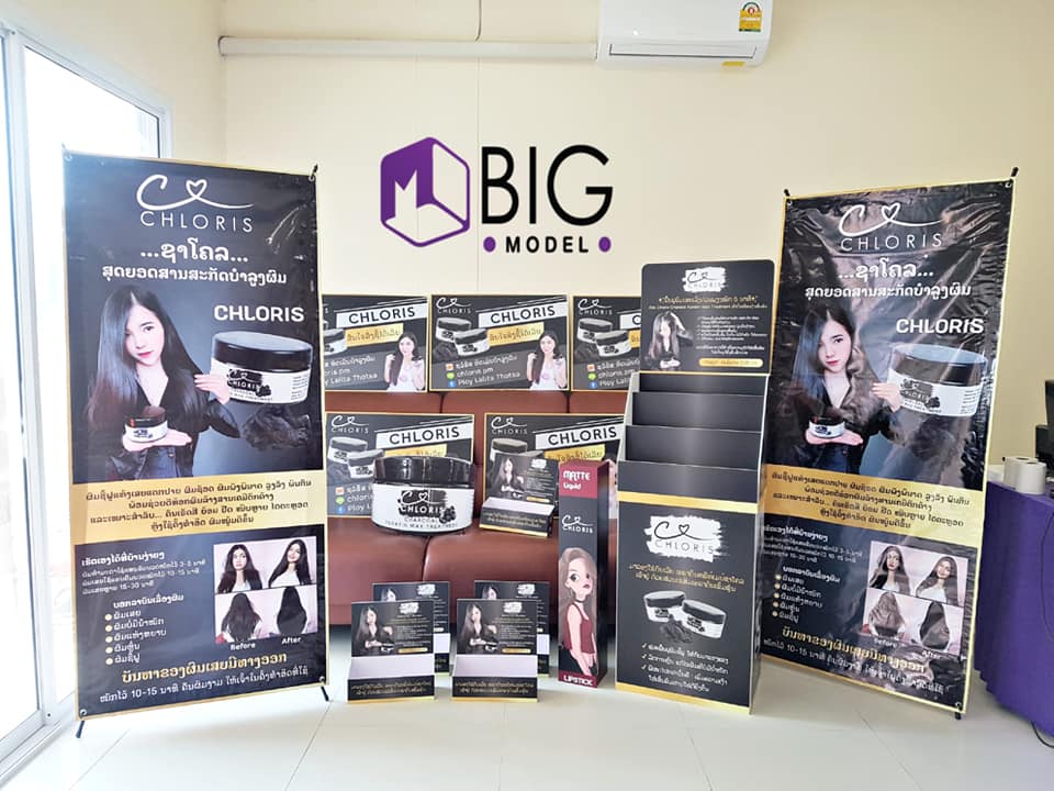 ผลิตโมเดลยักษ์ ประเทศลาว Big Model 