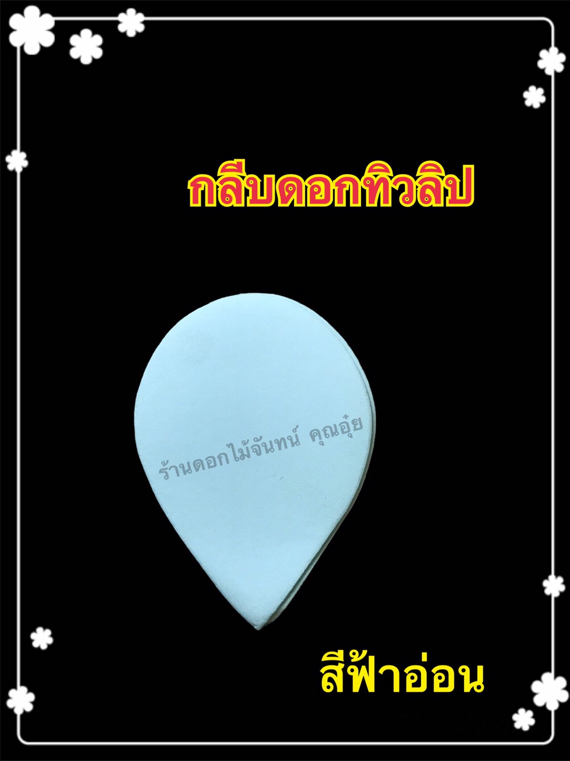 กลีบดอกทิวลิป สีฟ้าอ่อน