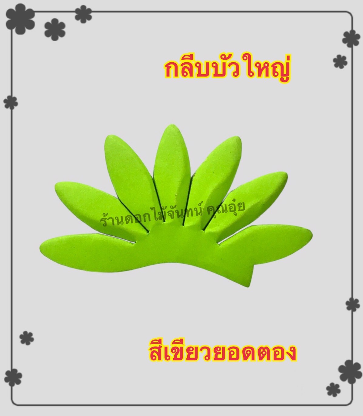 กลีบบัวใหญ่ สีเขียวยอดตอง