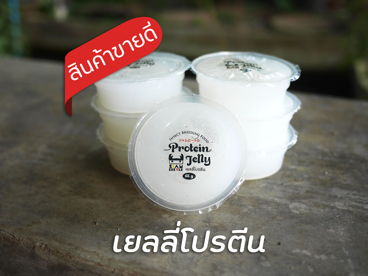 เยลลี่ถ้วย"โปรตีน"(สีขาว) By Beetle