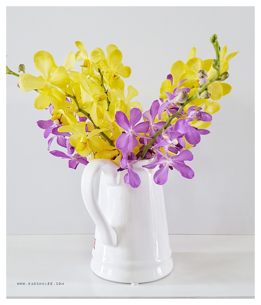 Country Kitchen Ceramic Vase แจกันเซรามิค ทรงเหยือก