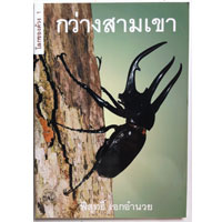 กว่างสามเขา
