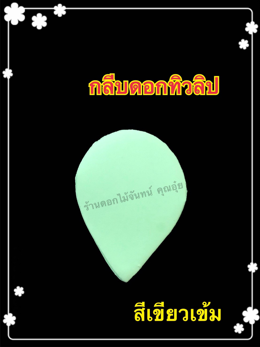 กลีบดอกทิวลิป สีเขียวเข้ม