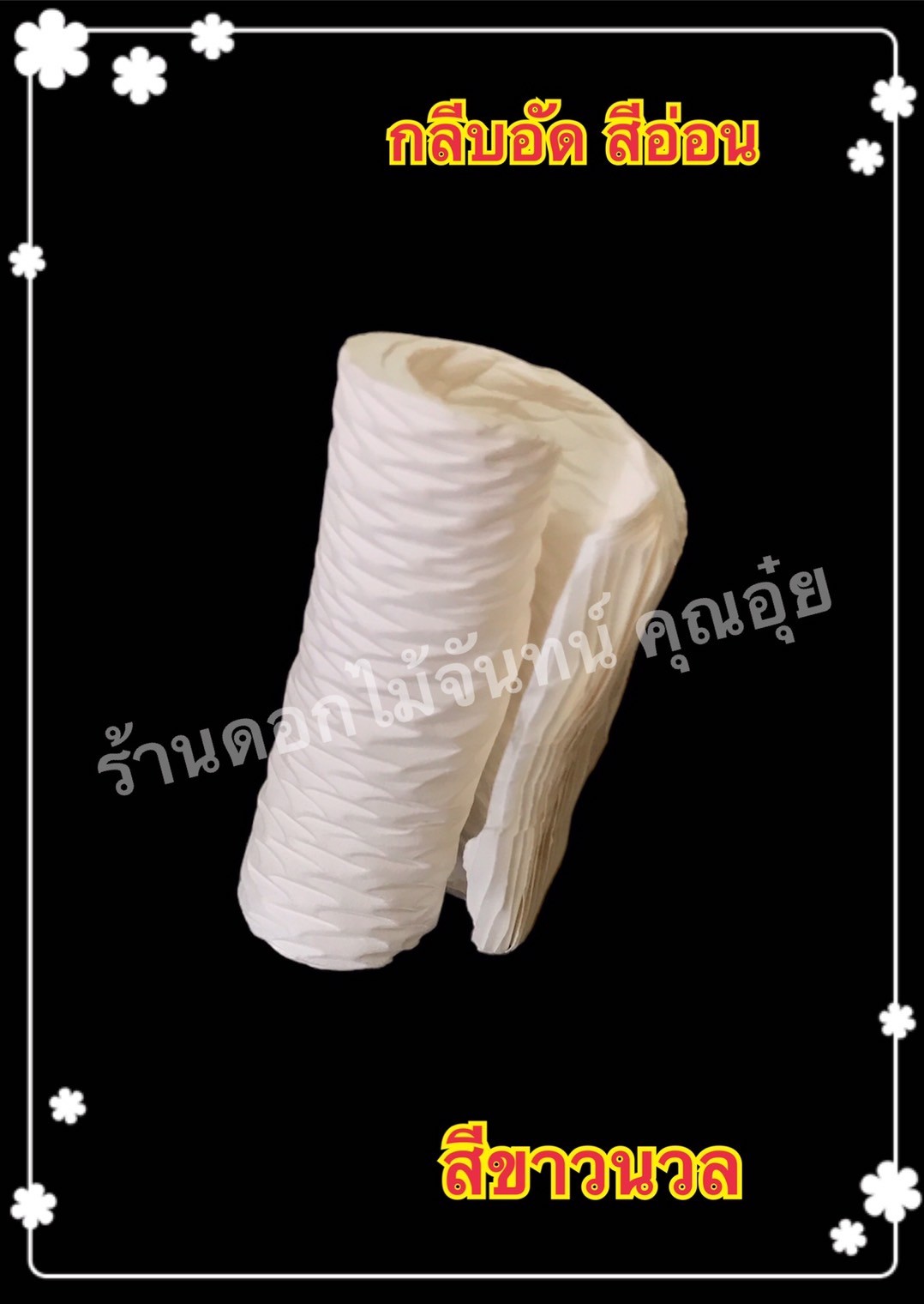 กลีบอัดดอกไม้จันทน์ สีขาวนวล