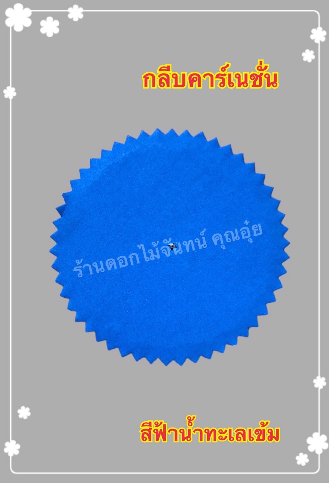 กลีบคาเนชั่น สีฟ้าน้ำทะเลเข้ม