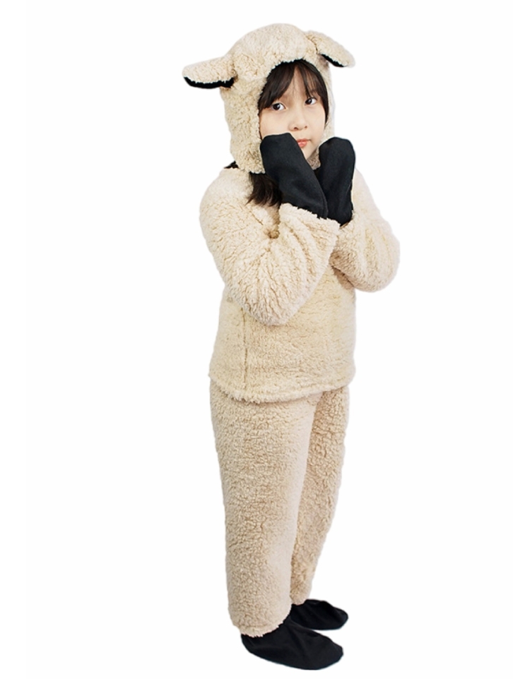 ชุดแฟนซี ชุดมาสคอส การ์ตูน ชุดสัตว์ ชุดการแสดง สัตว์ป่า สัตว์น้ำ