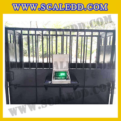 เครื่องชั่งวัวแบบกรง เครื่องชั่งวัว2000kg เครื่องชั่งสัตว์2ตัน เครื่องชั่งกรงสัตว์ เครื่องชั่งน้ำหนัก2000kg ตาชั่งวัว2ตัน ตาชั่งน้ำหนักวัว เครื่องชั่งวัวแบบดิจิตอล เครื่องชั่งยี่ห้อ Dynaweight รุ่น DW218