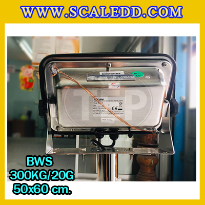 เครื่องชั่งกันน้ำตั้งพื้น300kg เครื่องชั่งน้ำหนัก300kg เครื่องชั่งดิจิตอล300กิโล เครื่องชั่งดิจิตอลกันน้ำ300kg ตาชั่งกันน้ำ300kg ความละเอียด20g ขนาดแท่นชั่ง 50x60cm. เครื่องชั่งยี่ห้อ T-scale รุ่น BWS