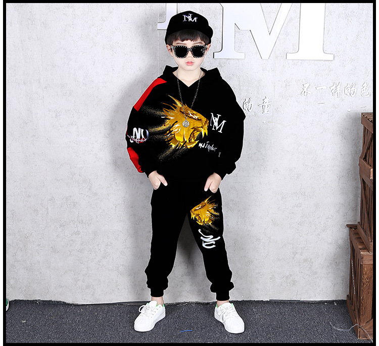 ชุดเต้น ชุดฮิปฮอปแขนยาว ลายสิงห์