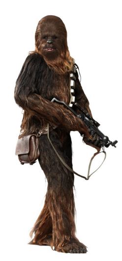 HOTTOYS Star wars A New Hope Chewbacca