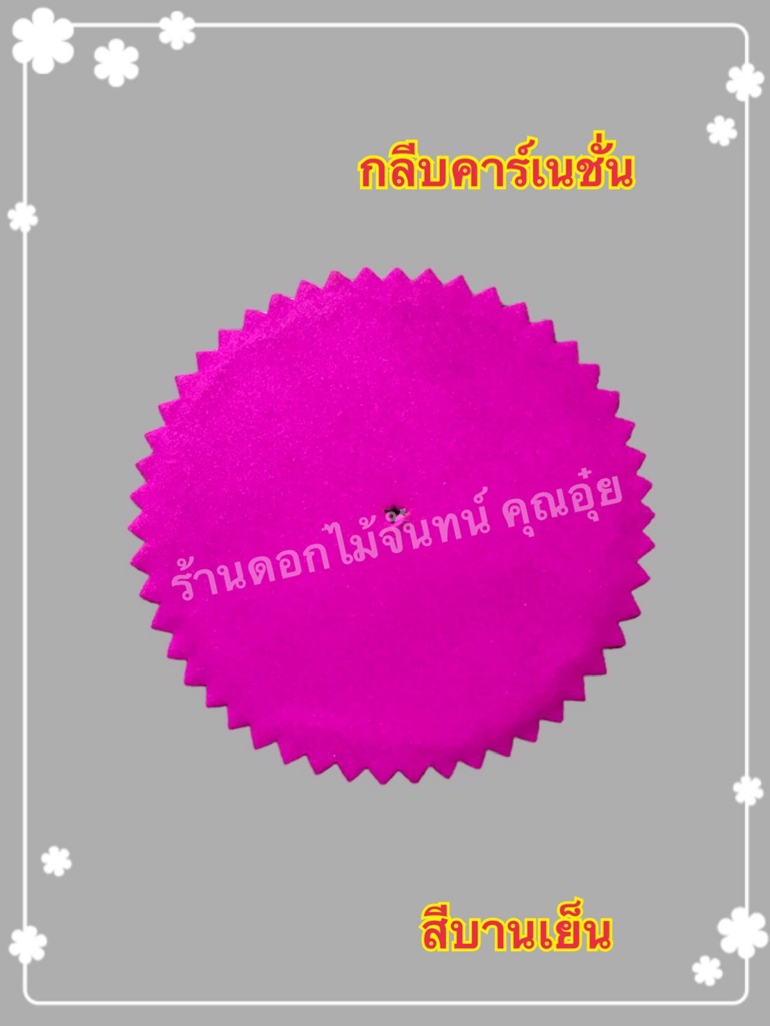 กลีบคาเนชั่น สีบานเย็น