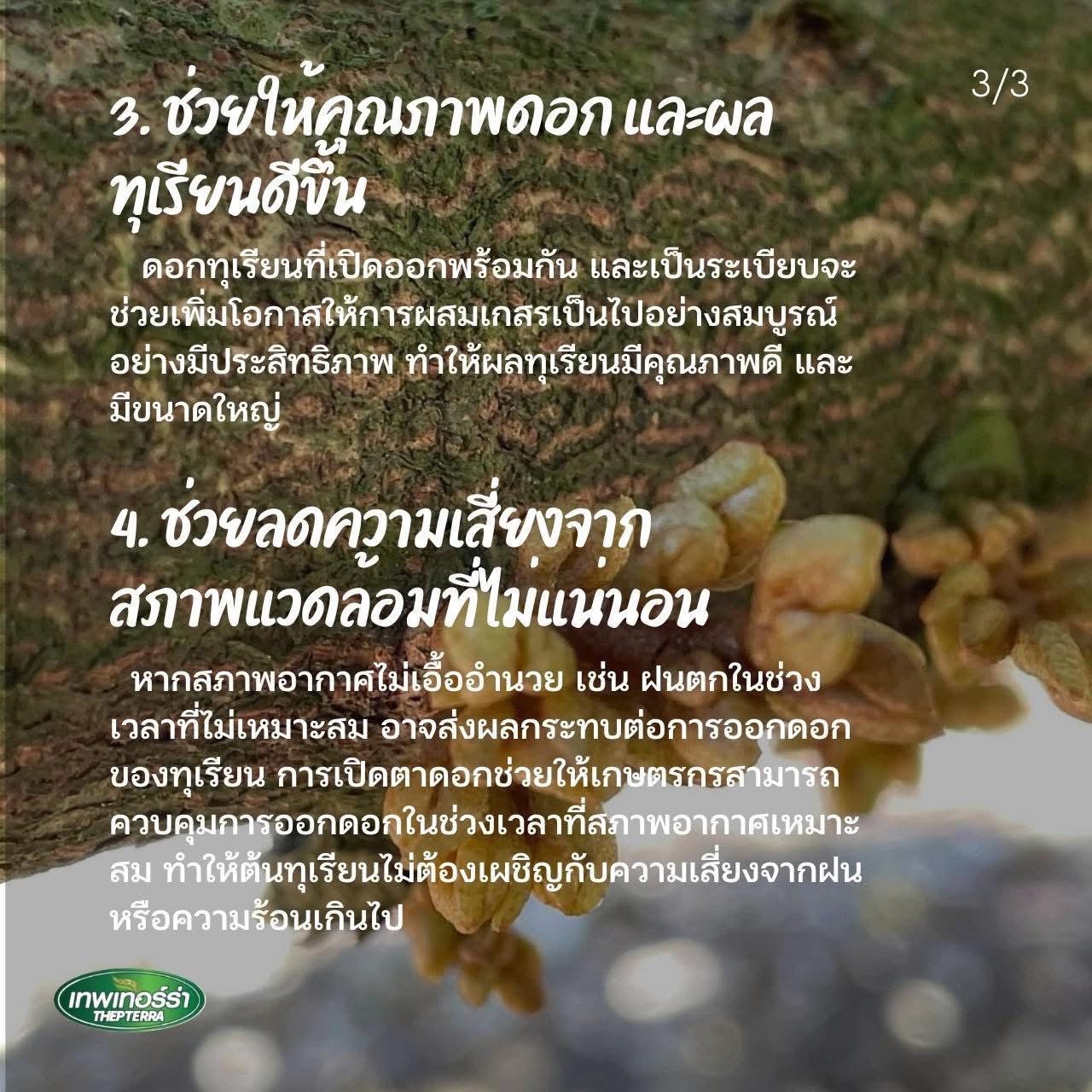 เทอร์ร่าซี