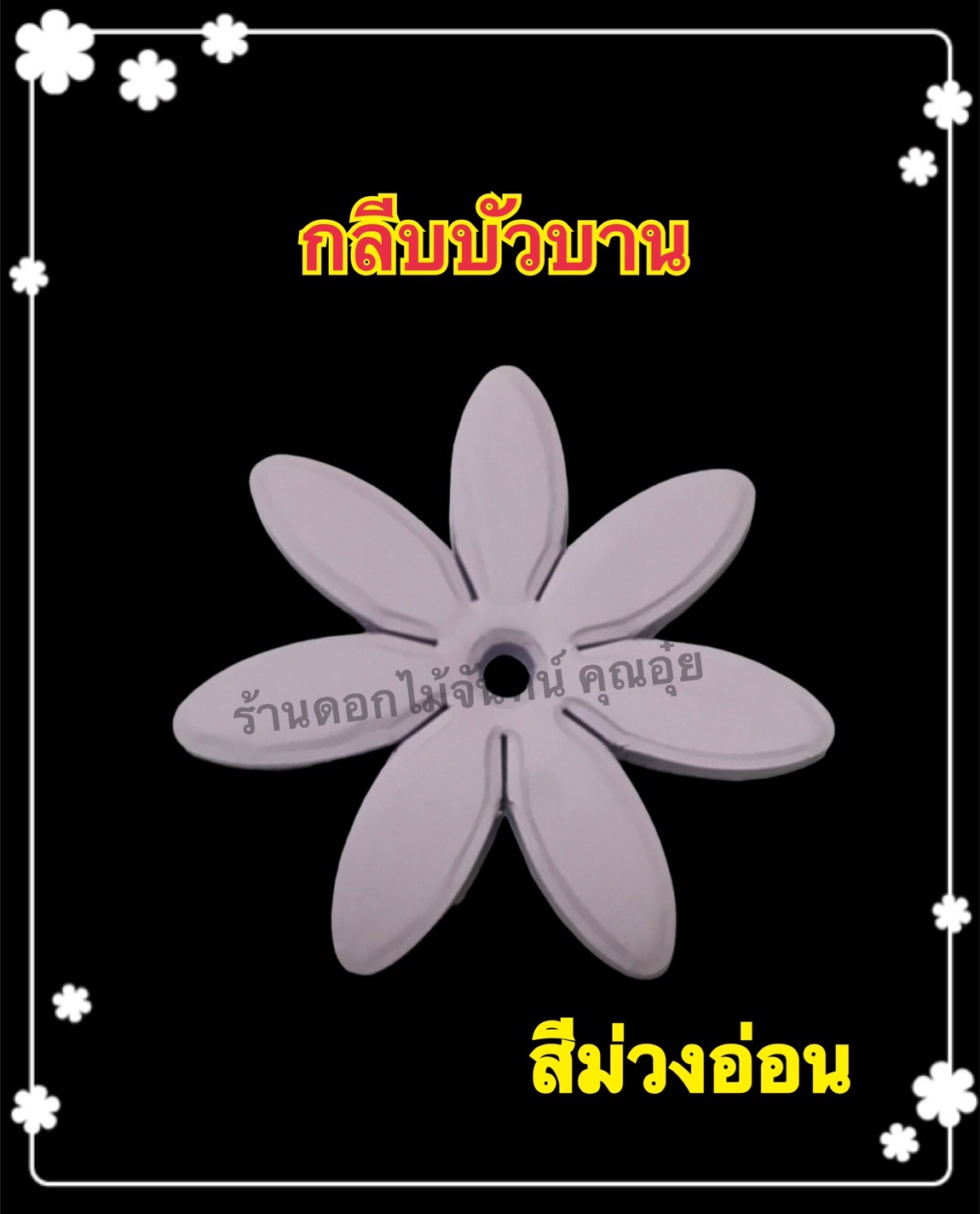 กลีบบัวบาน สีม่วงอ่อน