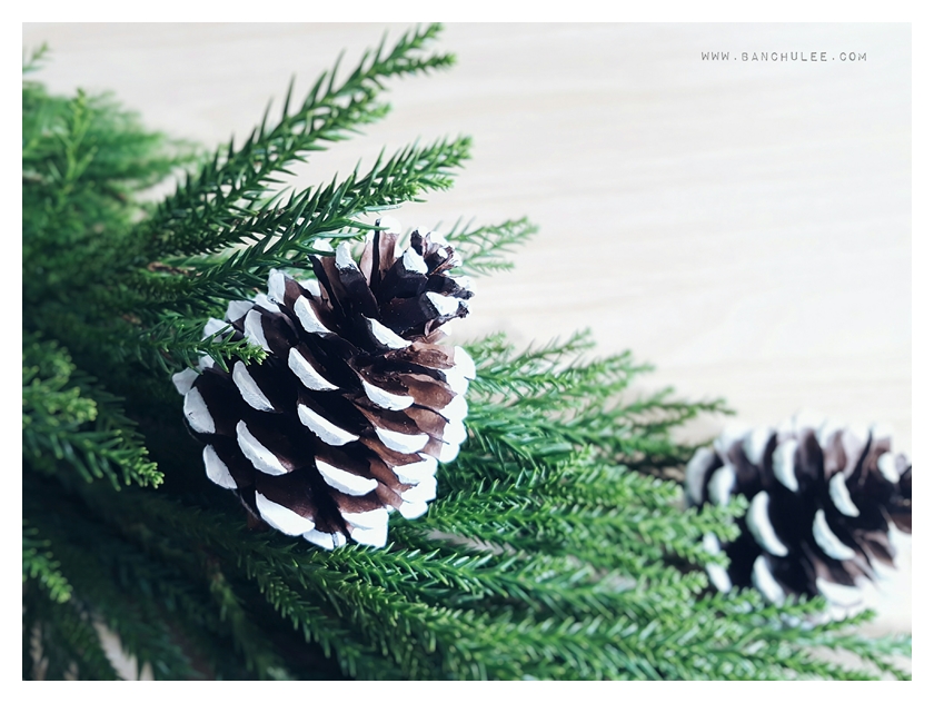 Snow Pine Cone ลูกสนธรรมชาติ สีน้ำตาลเข้ม แต้มขอบปีกด้วยสีขาว