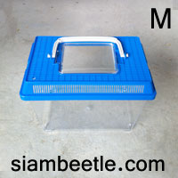 Case M