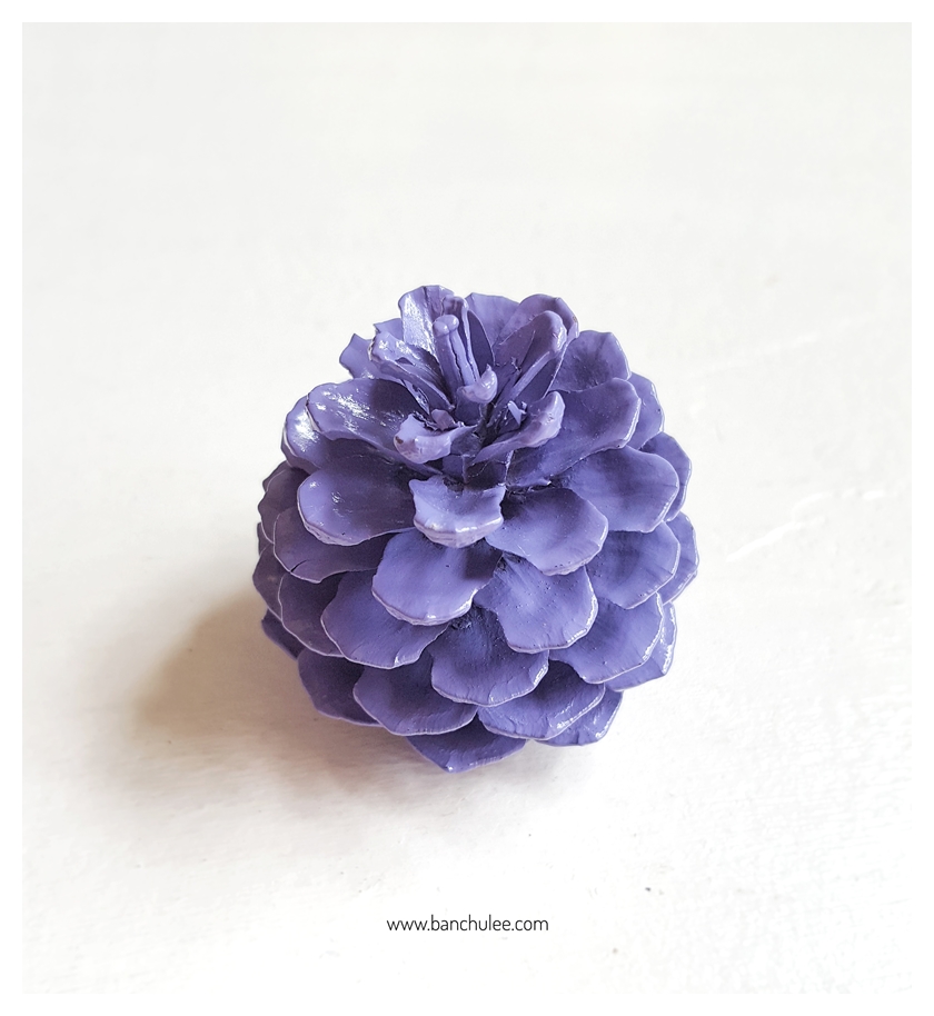 Colorful Pine Cone ลูกสนธรรมชาติ พ่นสี