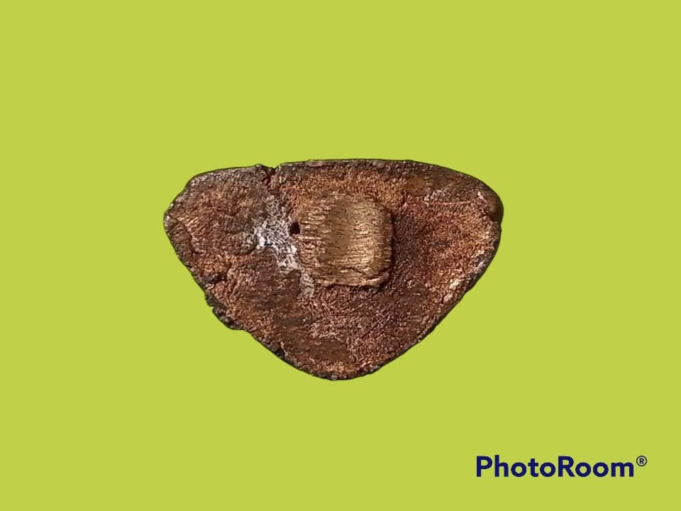 รูปเหมือน หลวงพ่อแทน วัดแก้วฟ้า จ.ราชบุรี