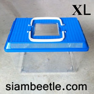 Case XL