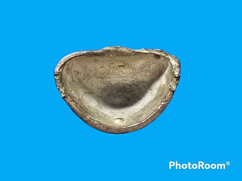 รูปเหมือนหลวงปู่ทวด วัดช้างให้ รุ่นเฉลิมพระเกียรติ ปี 2544 เนื้อเงิน แผ่นปิดฐานไม่มี