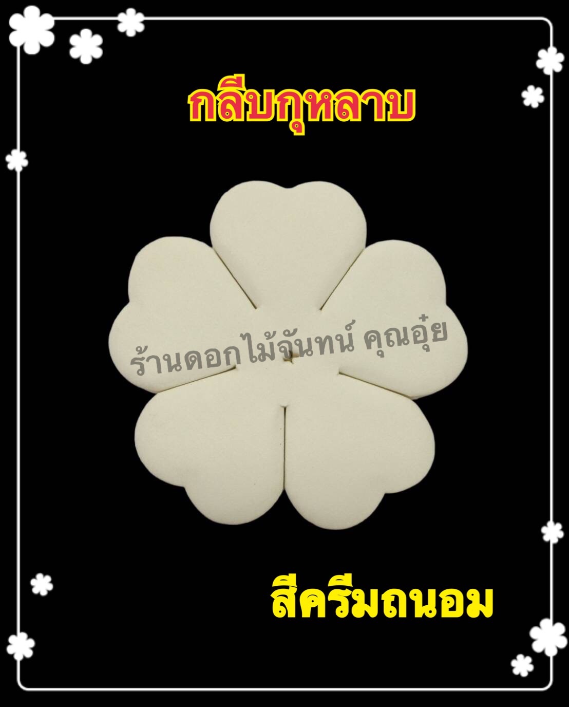 กลีบกุหลาบสีครีมถนอม