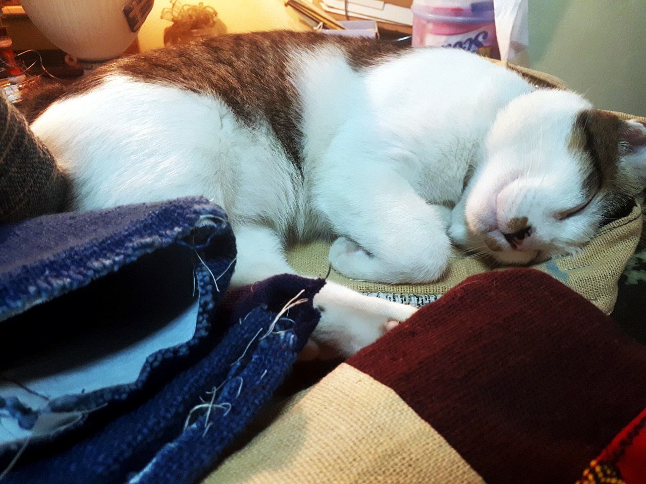 SIVA กระเป๋าลดโลกร้อนทำจากผ้าฝ้ายย้อมครามและผ้าฮัม ฟรีค่าส่ง ฟ้าและน้ำตาล L,XL