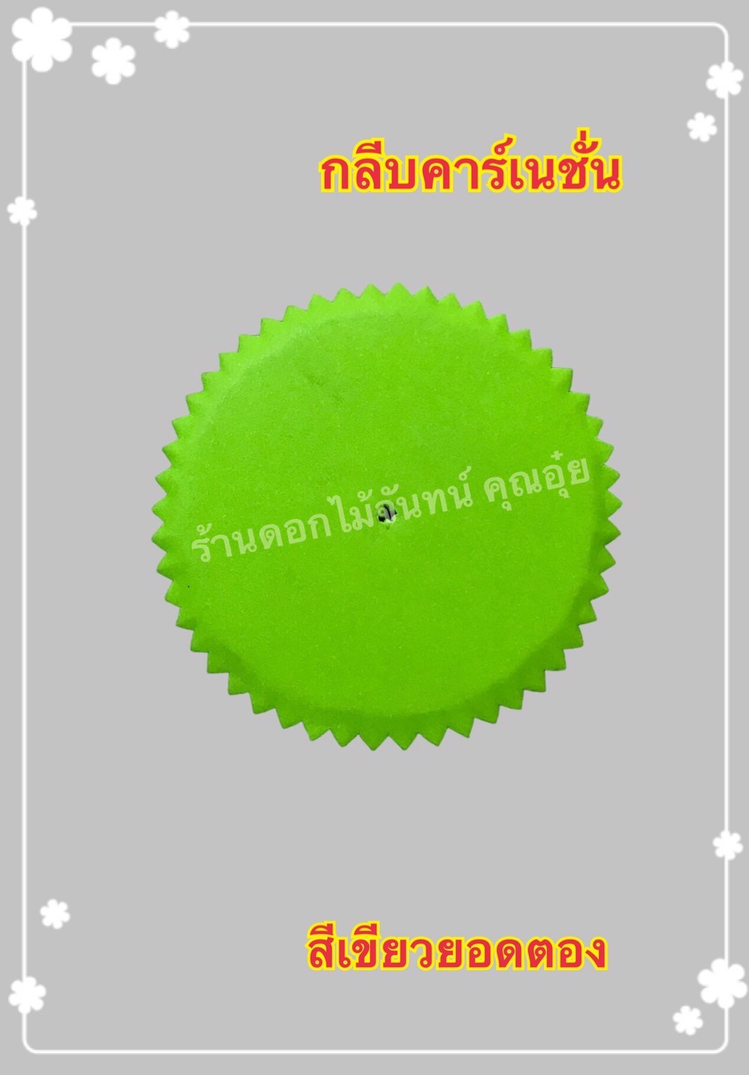 กลีบคาเนชั่น สีเขียวยอดตอง