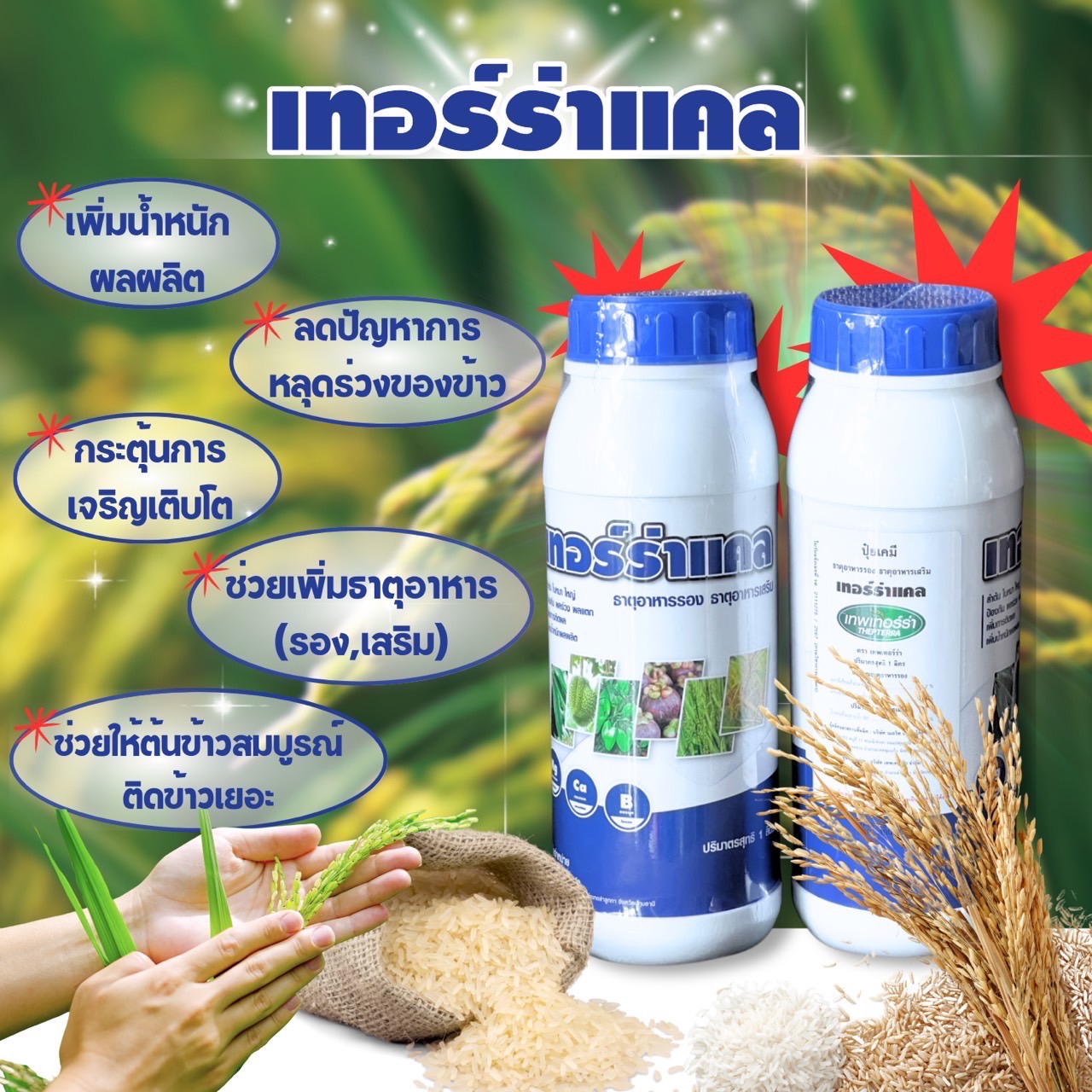 เทอร์ร่าแคล