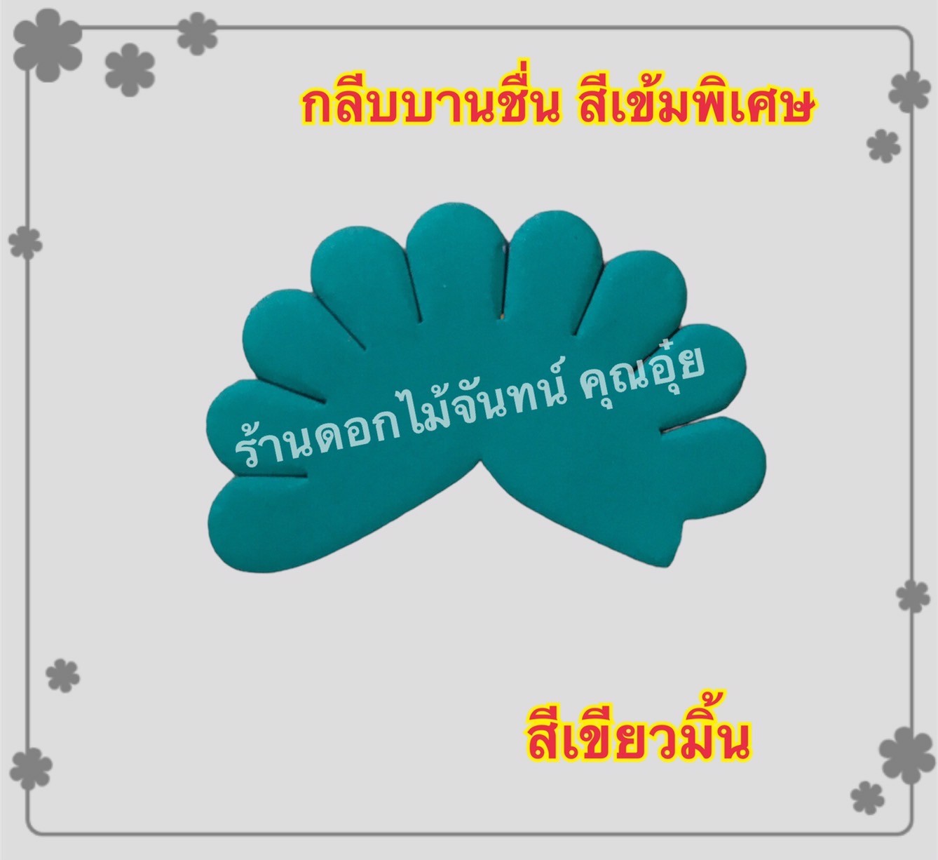 กลีบบานชื่น สีเขียวมิ้น