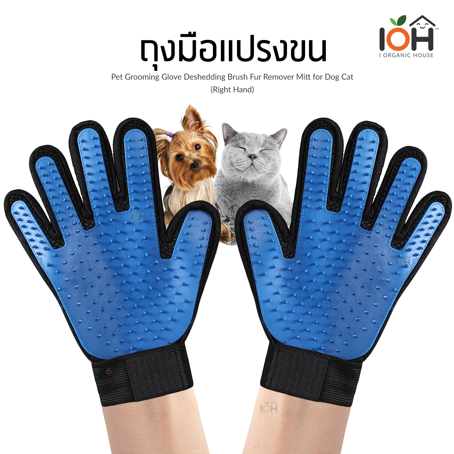 ถุงมือแปรงขน สำหรับสัตว์เลี้ยง