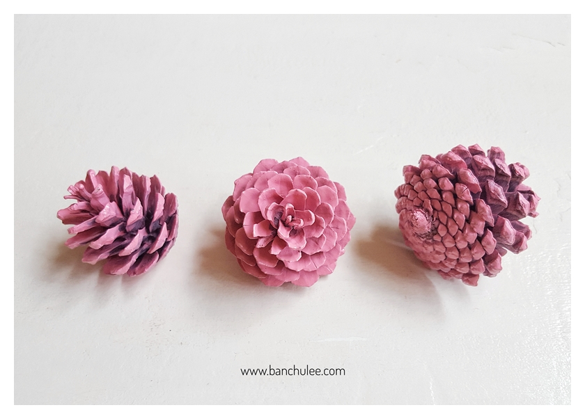 Colorful Pine Cone ลูกสนธรรมชาติ พ่นสี
