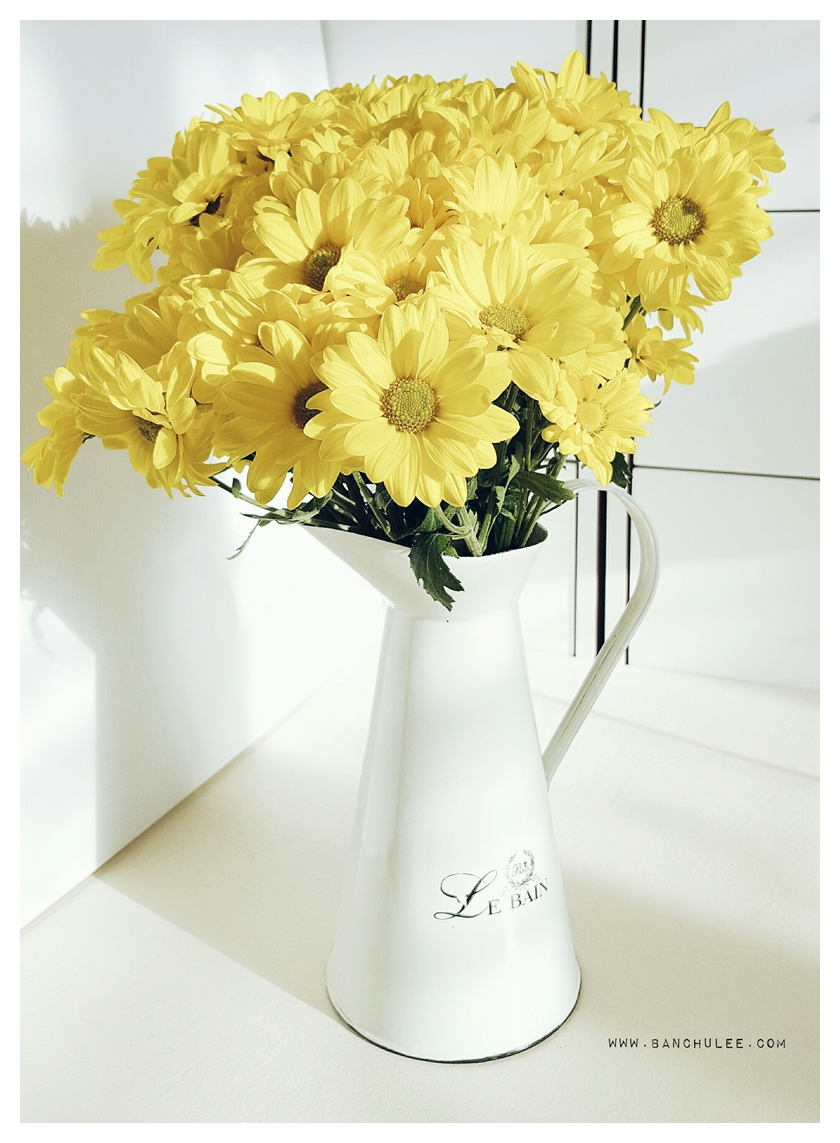 Shabby Chic Enamel Vase แจกันอีนาเมล สีขาว ทรงเหยือก