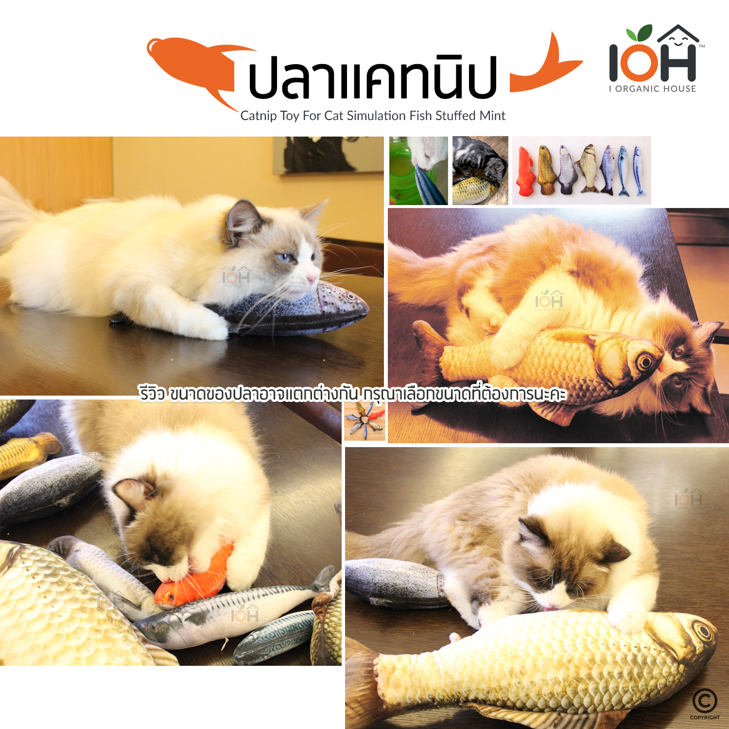 ตุ๊กตาแคทนิป ปลาแคทนิป ของเล่นสำหรับแมว ขนาด 30 cm (มีซิป)