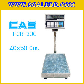 เครื่องชั่งนับชิ้นงาน300kg เครื่องชั่งน้ำหนัก300kg เครื่องชั่งนับจำนวน300kg ตาชั่งนับจำนวน300kg พิกัด300kg ความละเอียด 20g ยี่ห้อ CAS รุ่น ECB ขนาดแท่น 40*50cm.