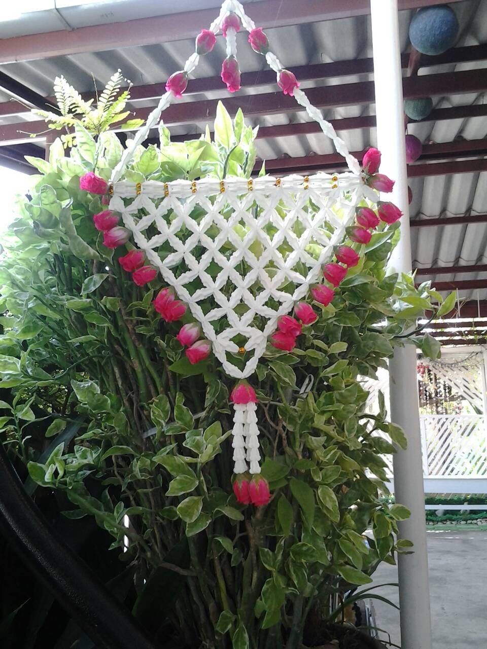 ตาข่ายหน้าช้าง (จำหน่าย-ให้เช่า)