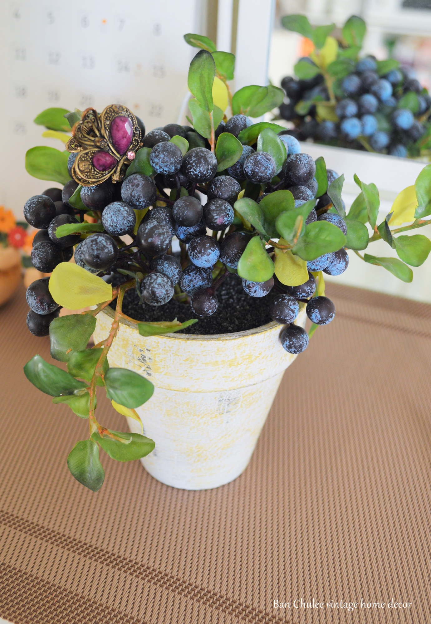 Blueberry In Flowerpot ต้นบลูเบอร์รี่ในกระถาง