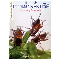 การเลี้ยงจิ้งหรีด