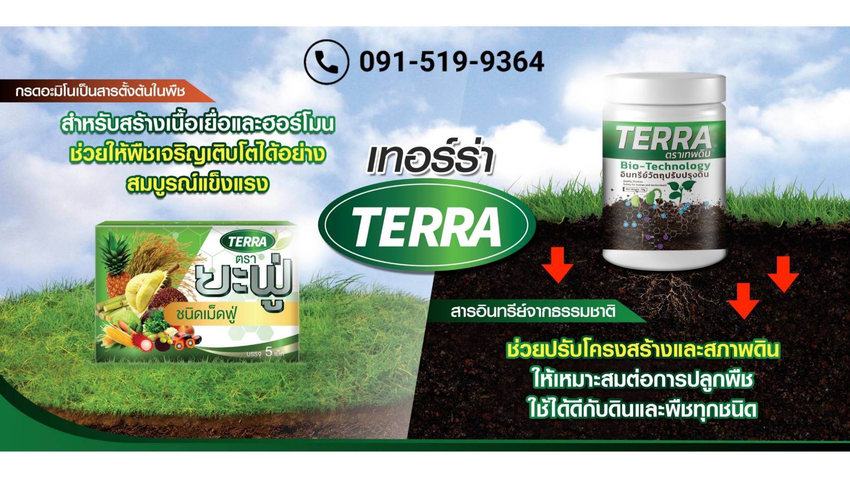 เทอร์ร่าเทพดิน