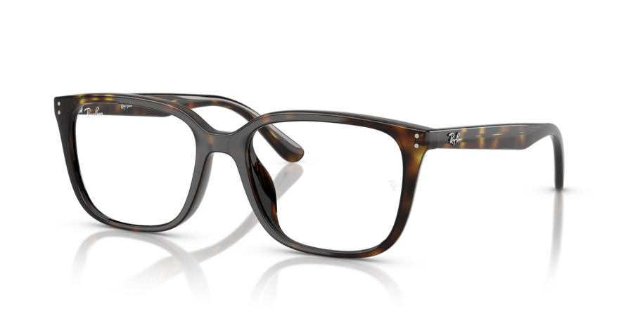 RayBan RX7248D 2012