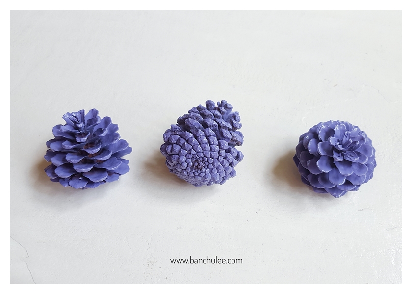 Colorful Pine Cone ลูกสนธรรมชาติ พ่นสี