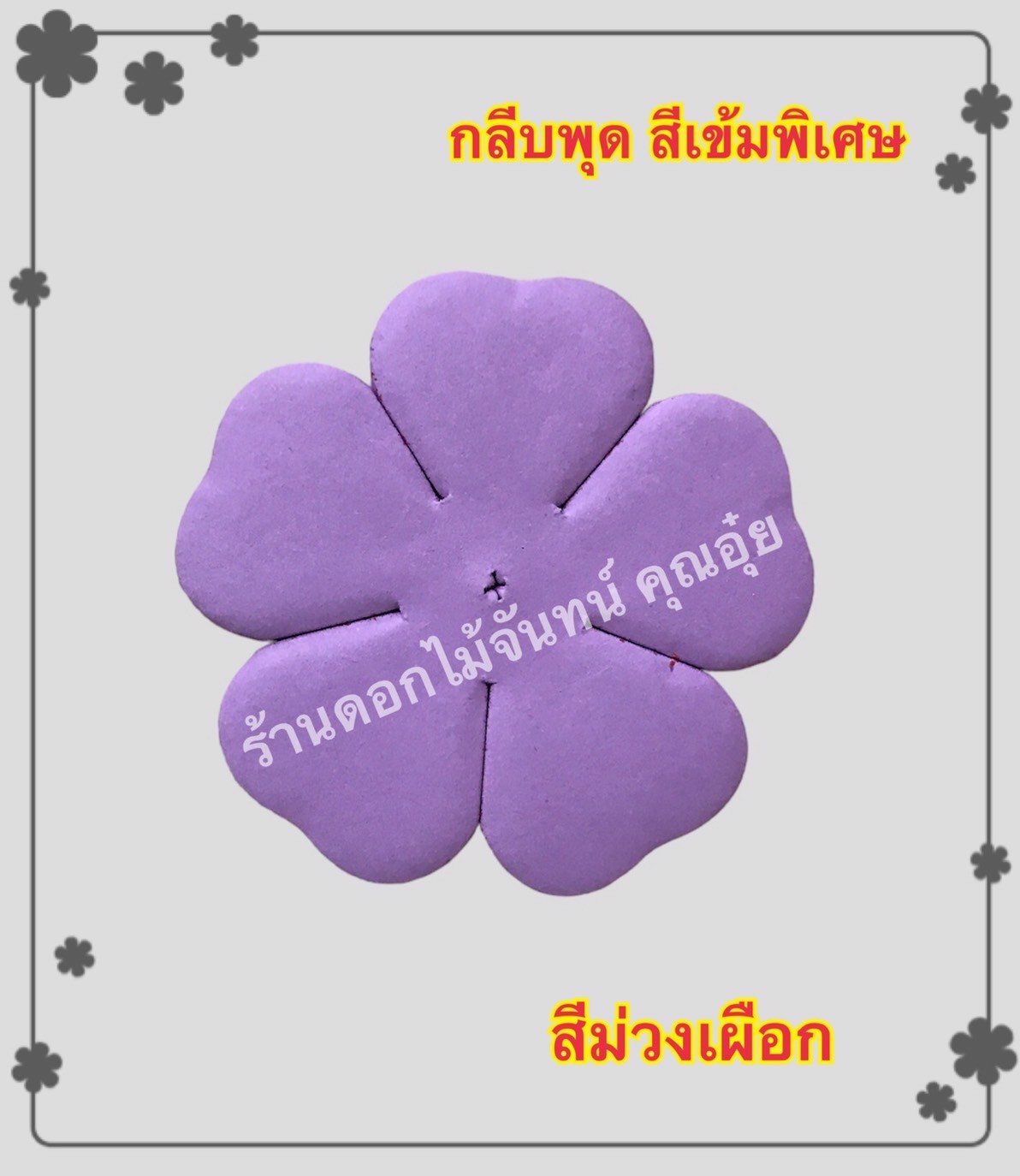 กลีบพุด สีม่วงเผือก
