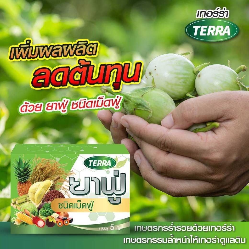 เทอร์ร่า ยาฟู่