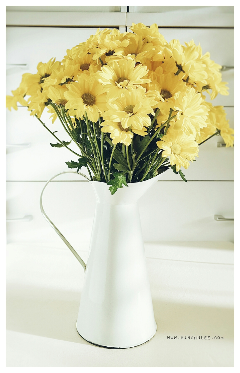 Shabby Chic Enamel Vase แจกันอีนาเมล สีขาว ทรงเหยือก