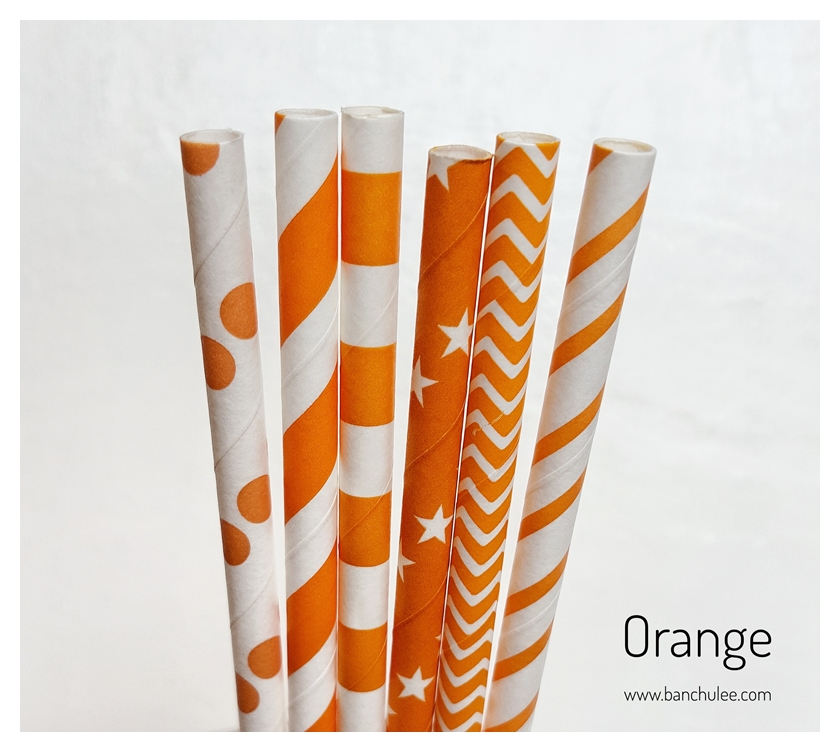 Collection Paper Straws หลอดกระดาษ ใช้สำหรับดื่มน้ำ